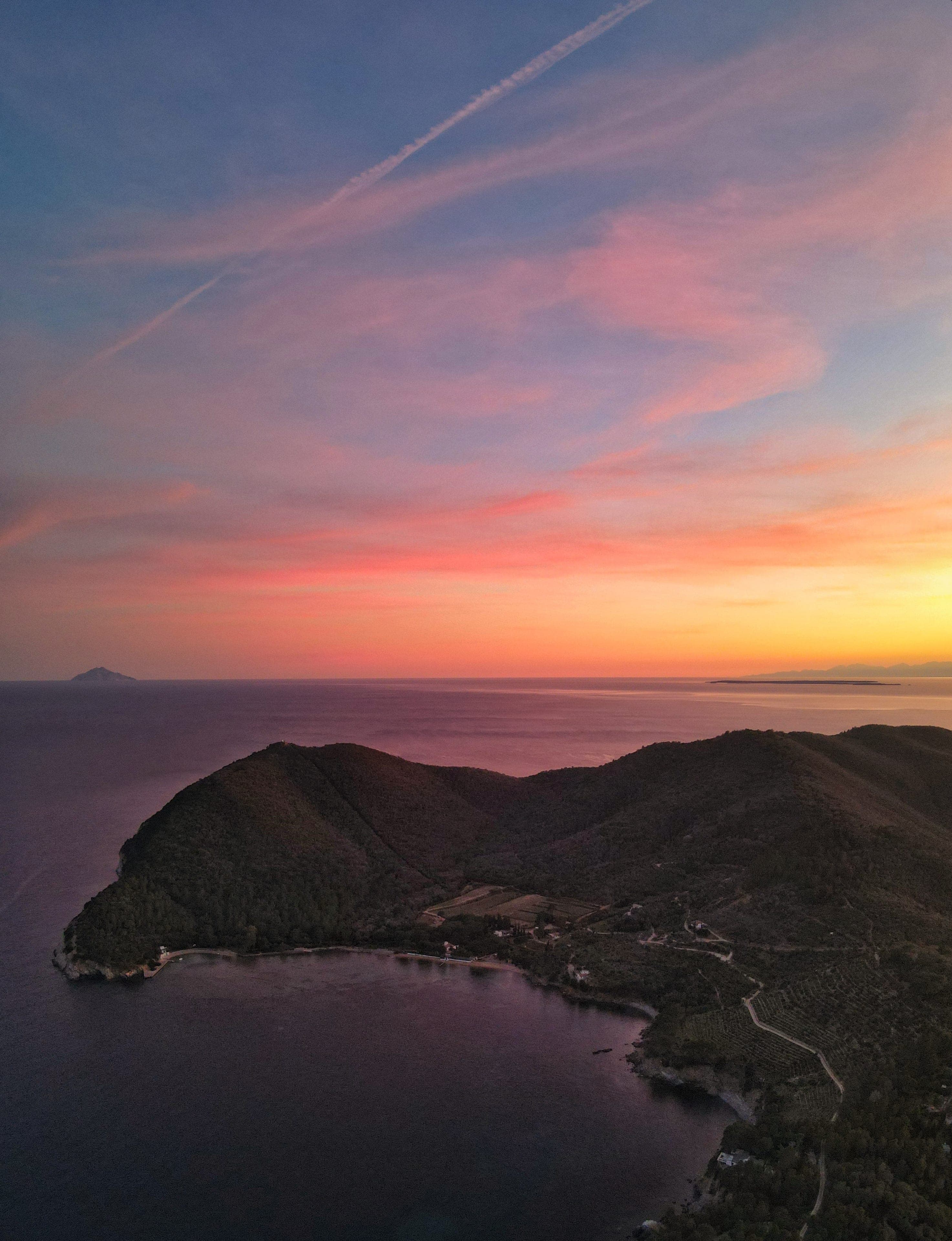 Vigneti dell'Elba con Montecristo all'orizzonte al tramonto