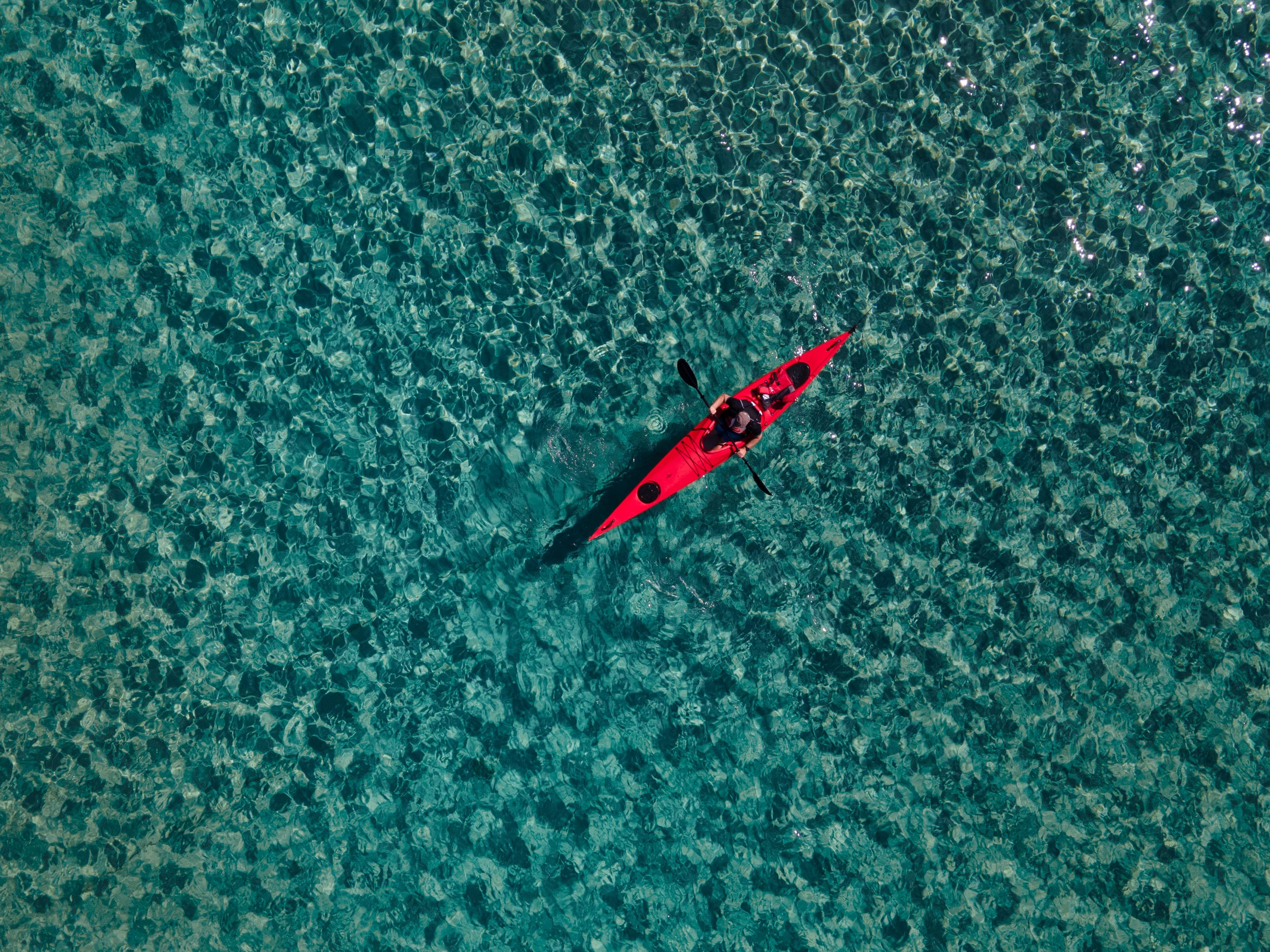Costa elbana