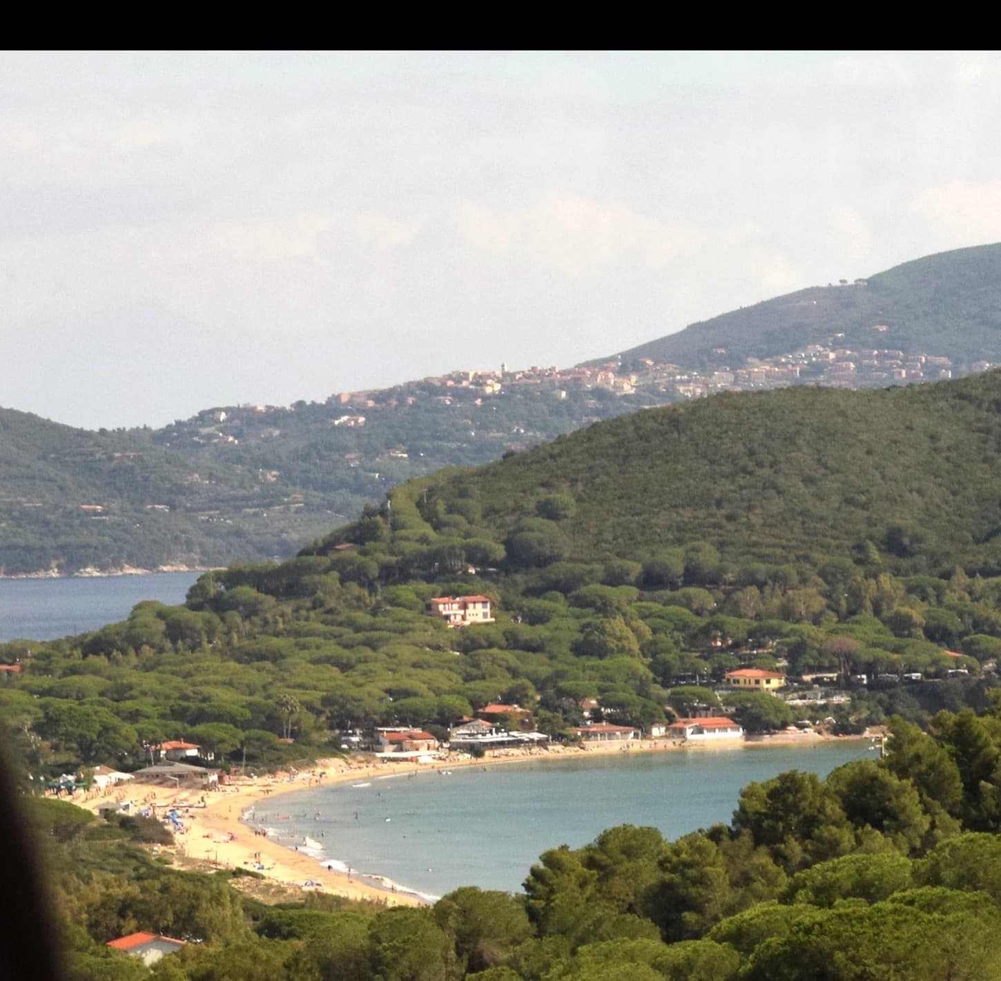 Lacona