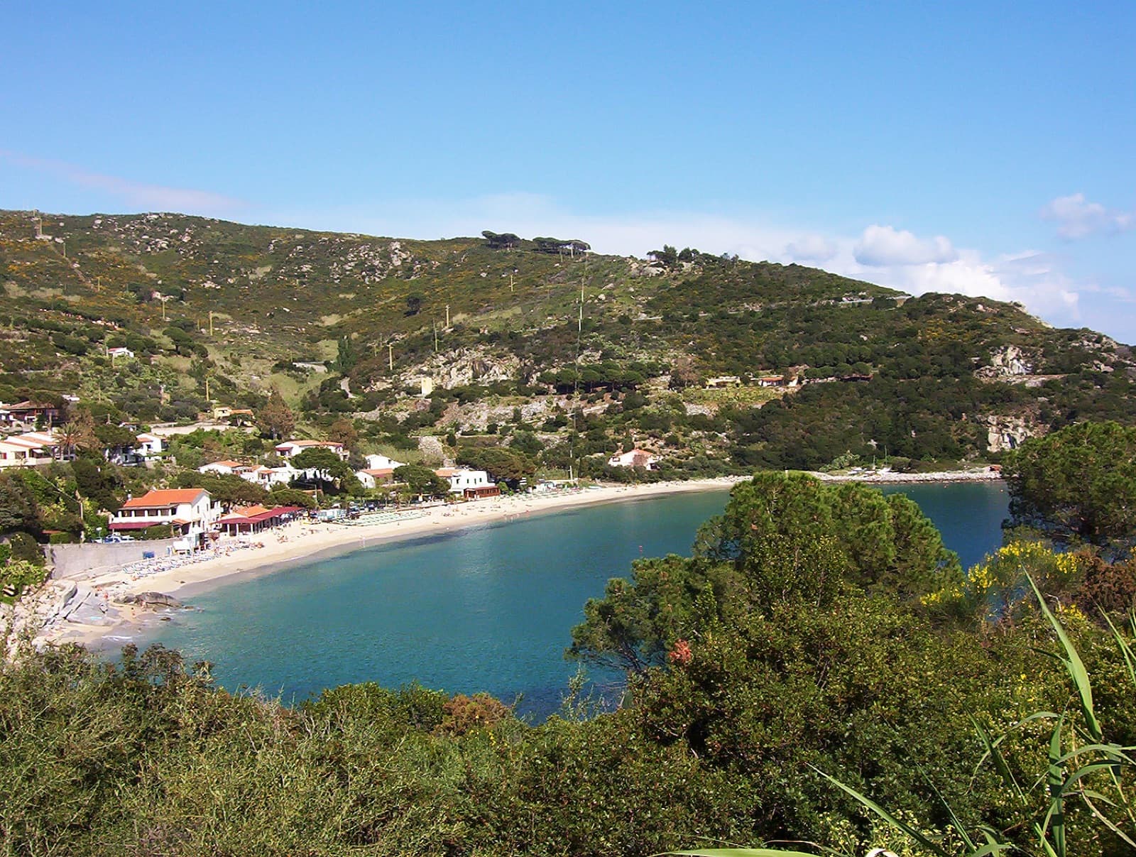 Cavoli